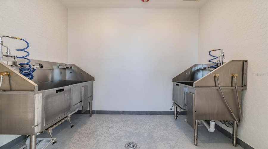 Dog Washing Station