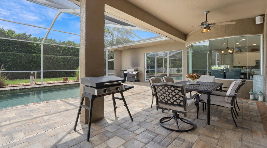 New Port Richey, Florida 34655, 4 Bedroom Bedrooms, ,3 Bathroombathrooms,Residential,For Sale,Edelweiss,0,Mfrtb8542850