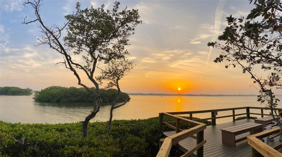 Sarasota, Florida 34231, 2 Bedroom Bedrooms, ,2 Bathroombathrooms,Residential,For Sale,Pelican Cove,0,Mfra4684670