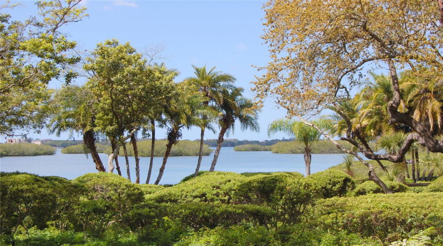 Sarasota, Florida 34231, 2 Bedroom Bedrooms, ,2 Bathroombathrooms,Residential,For Sale,Pelican Cove,0,Mfra4684670