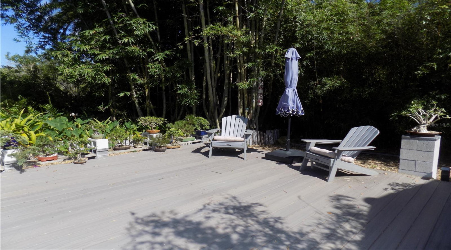 Composite-Wood Back Deck