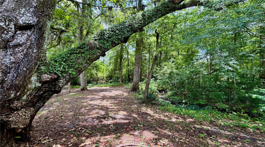 Gainesville, Florida 32606, 4 Bedroom Bedrooms, ,2 Bathroombathrooms,Residential,For Sale,33Rd,0,Mfrgc540583