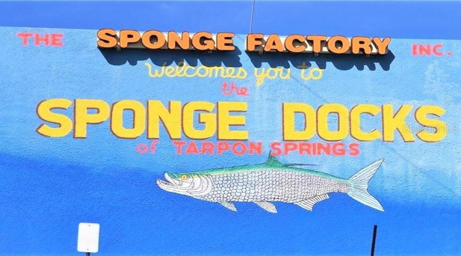 Tarpon Springs, Florida 34689, 4 Bedroom Bedrooms, ,4 Bathroombathrooms,Residential,For Sale,Florida,0,Mfrtb8535842