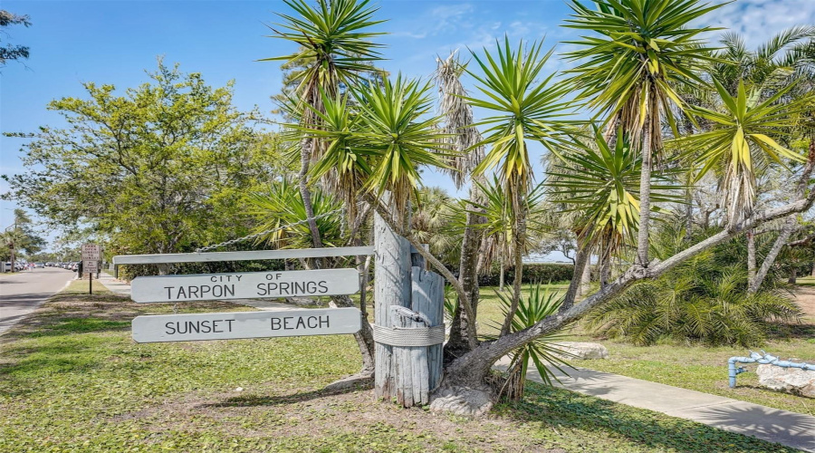 Tarpon Springs, Florida 34689, 4 Bedroom Bedrooms, ,4 Bathroombathrooms,Residential,For Sale,Florida,0,Mfrtb8535842