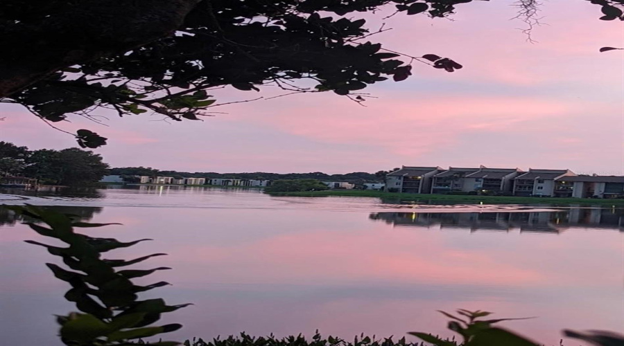 Altamonte Springs, Florida 32701, 1 Bedroom Bedrooms, ,1 Bathroombathrooms,Residential,For Sale,Maitland,0,Mfrtb8522461