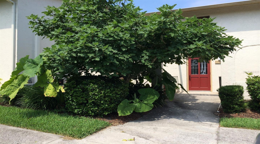 Altamonte Springs, Florida 32701, 1 Bedroom Bedrooms, ,1 Bathroombathrooms,Residential,For Sale,Maitland,0,Mfrtb8522461