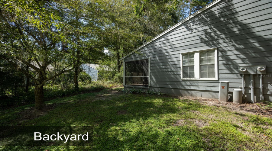 Backyard