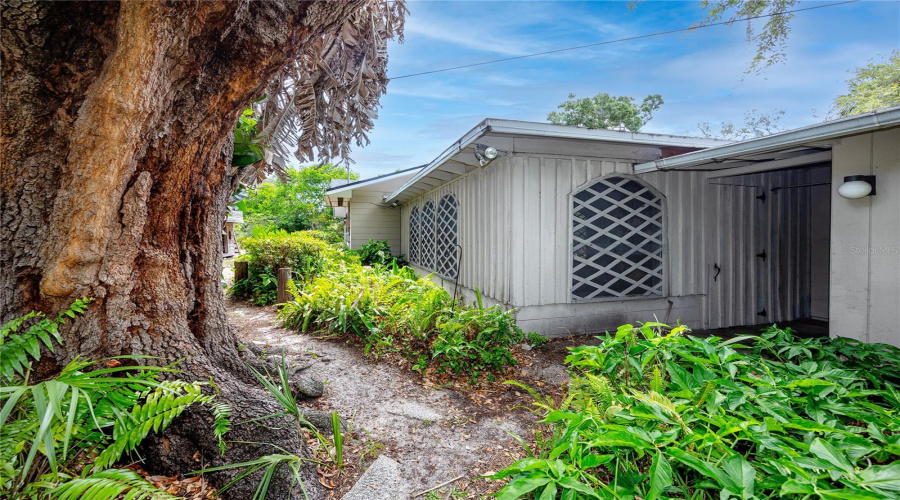 Backyard View Of Attached Covered Porch/Breezeway Beween Houses