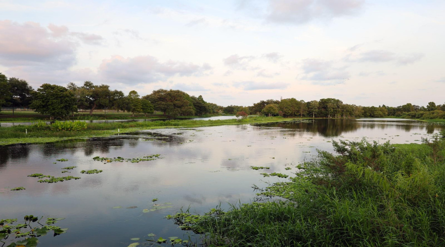 Walter Fuller Park.