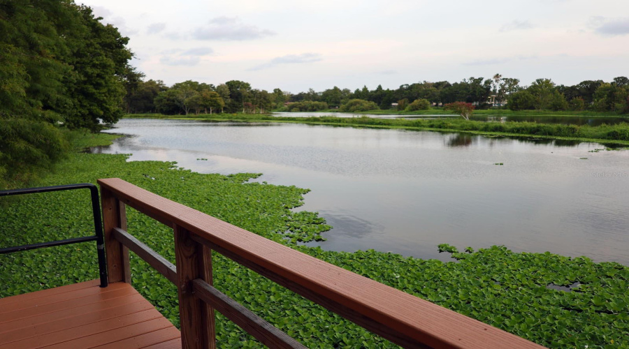 Walter Fuller Park.