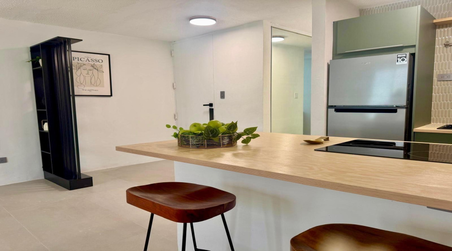 San Juan, Puerto Rico 00918, ,1 Bathroombathrooms,Residential,For Sale,Lic. Eugenio Maria De Hostos,0,Mfrpr9123638