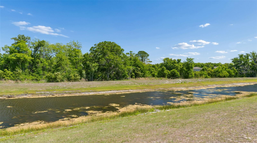 Spring Hill, Florida 34610, 5 Bedroom Bedrooms, ,3 Bathroombathrooms,Residential,For Sale,Cortes Creek,0,Mfrtb8501068
