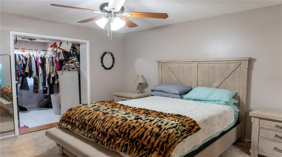 Master Bedroom With Walk-In Closet (Additional Closed Door Closet On Opposite Side).