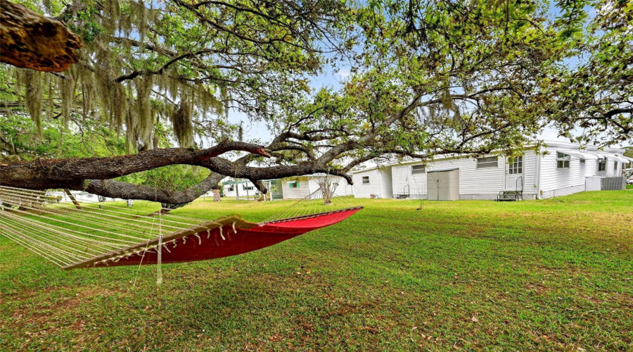 Eustis, Florida 32726, 3 Bedroom Bedrooms, ,2 Bathroombathrooms,Residential,For Sale,Cocos Plumosa,0,Mfrg5109650