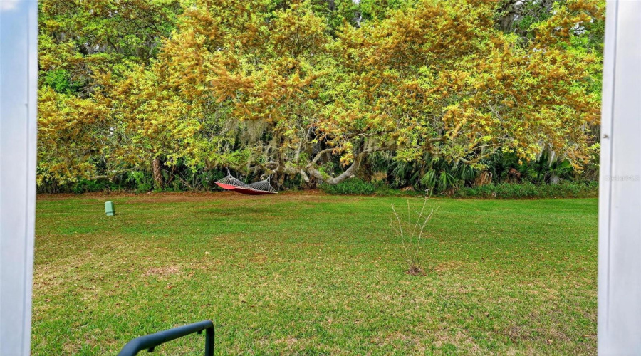 Eustis, Florida 32726, 3 Bedroom Bedrooms, ,2 Bathroombathrooms,Residential,For Sale,Cocos Plumosa,0,Mfrg5109650
