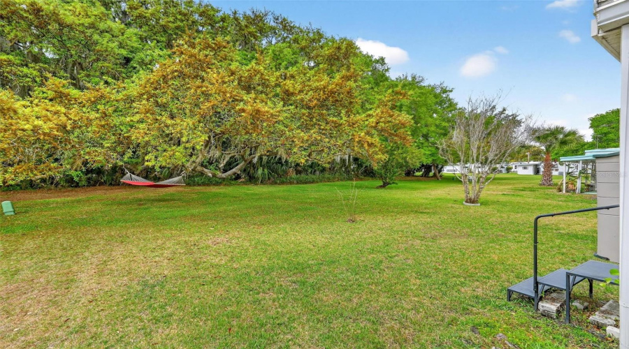 Eustis, Florida 32726, 3 Bedroom Bedrooms, ,2 Bathroombathrooms,Residential,For Sale,Cocos Plumosa,0,Mfrg5109650