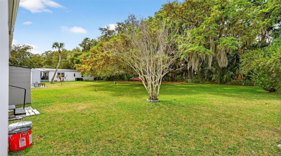 Eustis, Florida 32726, 3 Bedroom Bedrooms, ,2 Bathroombathrooms,Residential,For Sale,Cocos Plumosa,0,Mfrg5109650