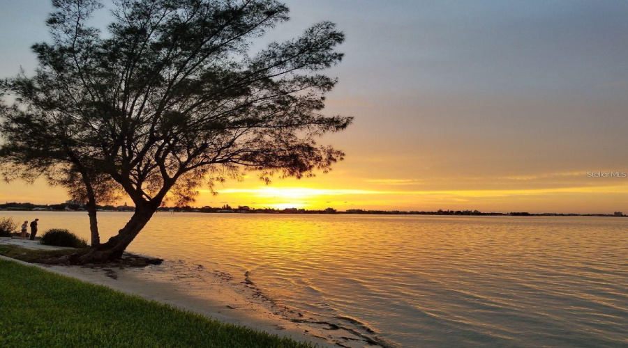 St Petersburg, Florida 33715, 2 Bedroom Bedrooms, ,2 Bathroombathrooms,Residential,For Sale,Sun,0,Mfro6434365