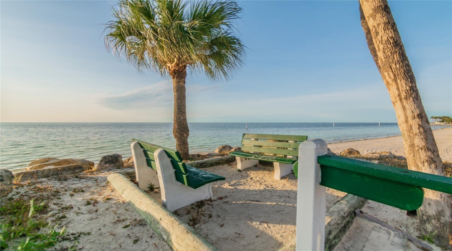 New Port Richey, Florida 34652, 53 Bedroom Bedrooms, ,40 Bathroombathrooms,Residential,For Sale,Bitner,0,Mfrw7885459