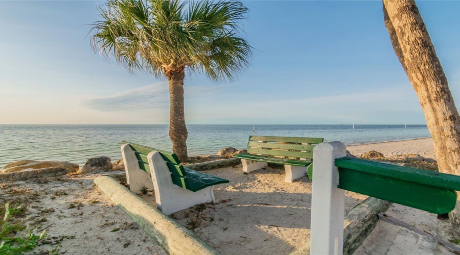 New Port Richey, Florida 34652, 53 Bedroom Bedrooms, ,40 Bathroombathrooms,Residential,For Sale,Bitner,0,Mfrw7885459