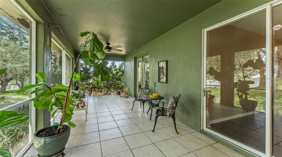 Minneola, Florida 34715, 5 Bedroom Bedrooms, ,2 Bathroombathrooms,Residential,For Sale,Shady Pine,0,Mfro6433014