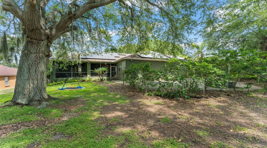 Minneola, Florida 34715, 5 Bedroom Bedrooms, ,2 Bathroombathrooms,Residential,For Sale,Shady Pine,0,Mfro6433014