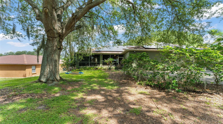 Minneola, Florida 34715, 5 Bedroom Bedrooms, ,2 Bathroombathrooms,Residential,For Sale,Shady Pine,0,Mfro6433014
