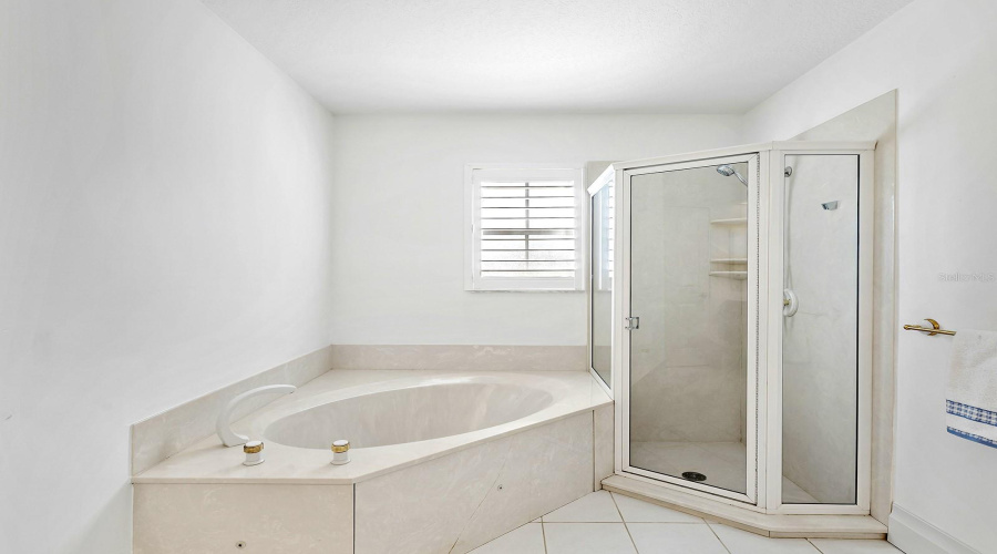 Bathroom Private Jacuzzi Tub And Separate Shower