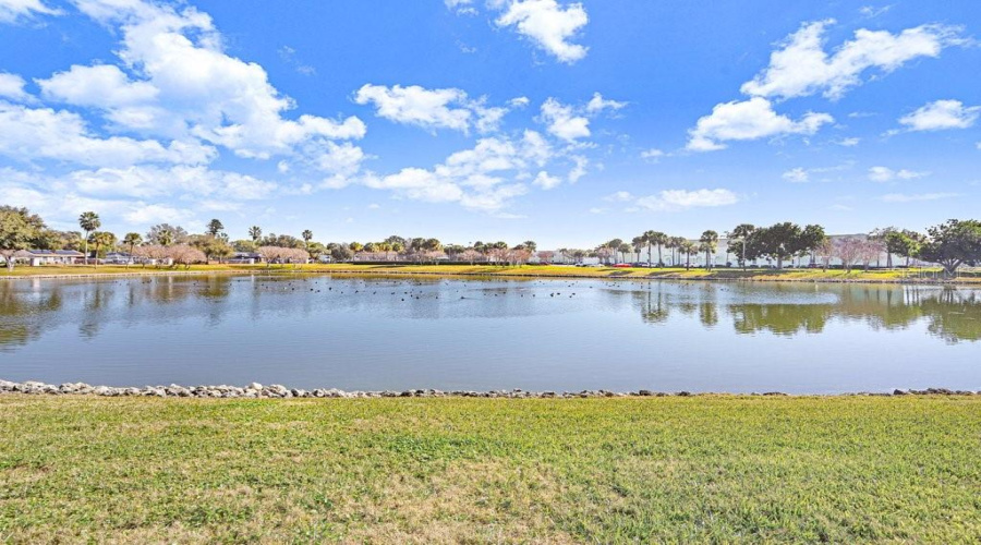 St Petersburg, Florida 33705, 1 Bedroom Bedrooms, ,1 Bathroombathrooms,Residential,For Sale,Cobia,0,Mfrtb8474516