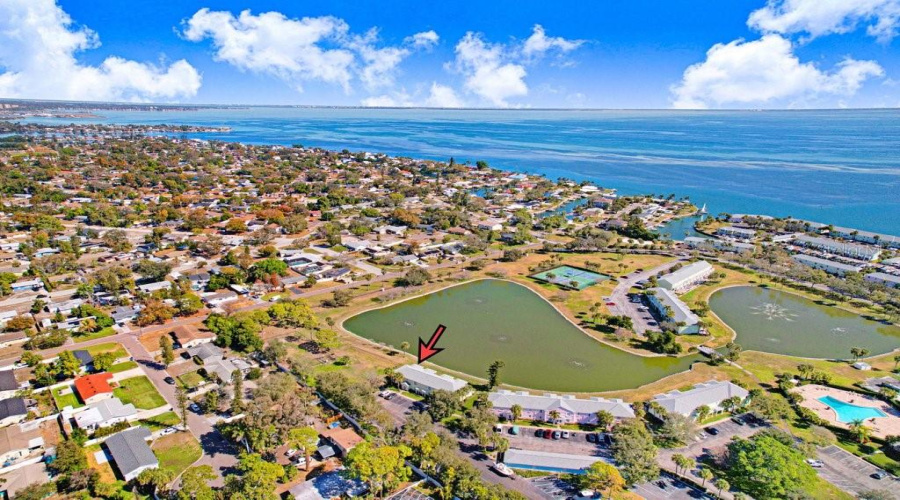St Petersburg, Florida 33705, 1 Bedroom Bedrooms, ,1 Bathroombathrooms,Residential,For Sale,Cobia,0,Mfrtb8474516