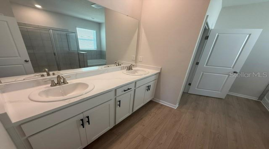 Palmetto, Florida 34221, 4 Bedroom Bedrooms, ,2 Bathroombathrooms,Residential,For Sale,Silver Birch,0,Mfra4685580