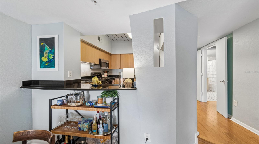 Tampa, Florida 33609, 1 Bedroom Bedrooms, ,1 Bathroombathrooms,Residential,For Sale,Horatio,0,Mfrtb8519567