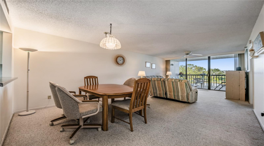 Dining/Living Area