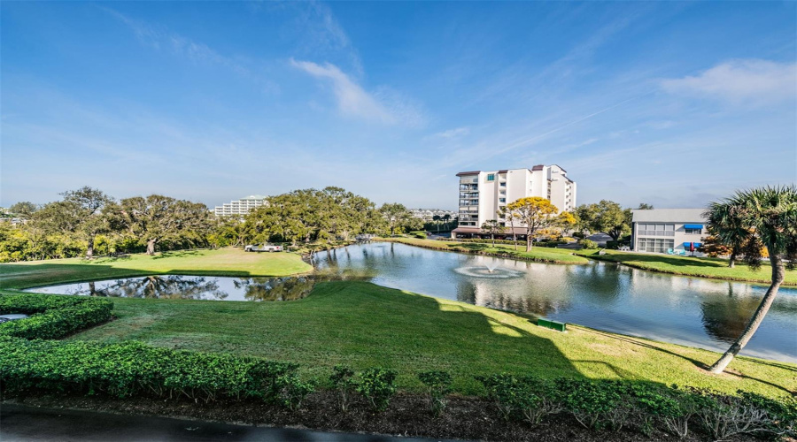 Ponds, A Peek At The Icw