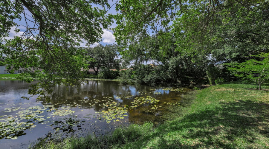 The Beautiful Pond... Viewed From The Huge Screened Lanai With Grill Area!