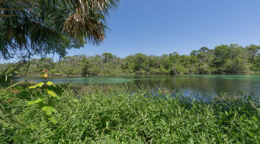 Dunnellon, Florida 34432, 3 Bedroom Bedrooms, ,2 Bathroombathrooms,Residential,For Sale,92Nd,0,Mfrom730947