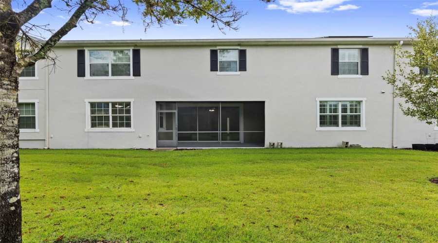 Exterior Rear