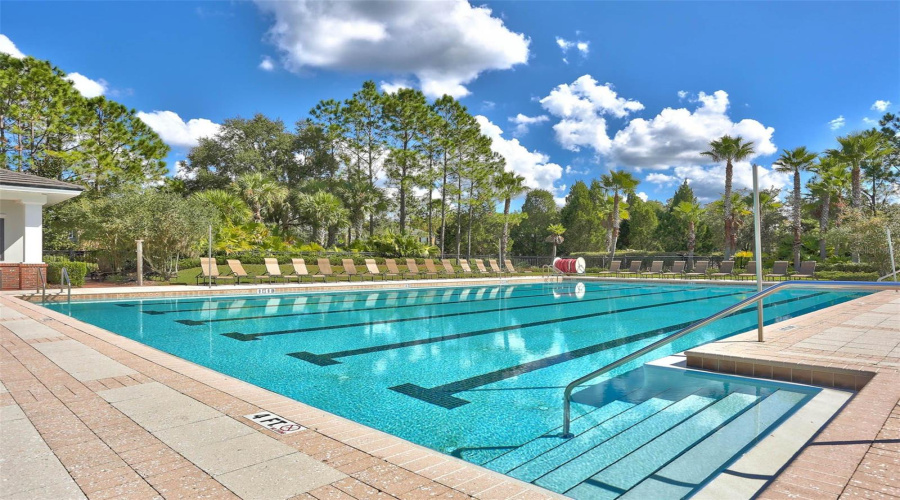 Heated Lap Pool