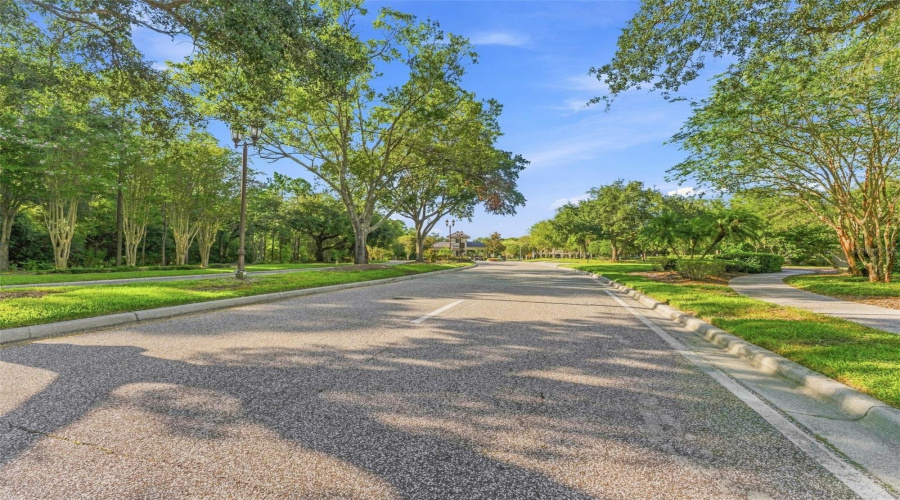 Tampa, Florida 33626, 4 Bedroom Bedrooms, ,3 Bathroombathrooms,Residential,For Sale,Bristol Chase,0,Mfrtb8541502