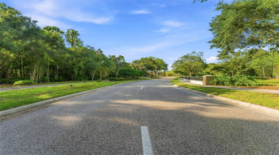 Tampa, Florida 33626, 4 Bedroom Bedrooms, ,3 Bathroombathrooms,Residential,For Sale,Bristol Chase,0,Mfrtb8541502