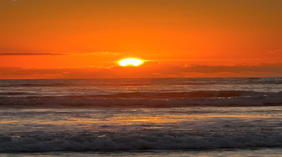 New Smyrna Beach, Florida 32169, 1 Bedroom Bedrooms, ,1 Bathroombathrooms,Residential,For Sale,Atlantic,0,Mfro6401374