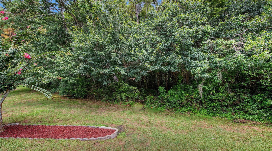 New Port Richey, Florida 34655, 3 Bedroom Bedrooms, ,2 Bathroombathrooms,Residential,For Sale,Orchardgrove,0,Mfrtb8541668
