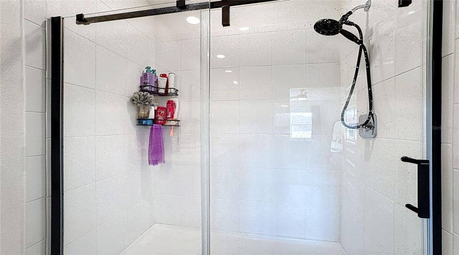 Primary Shower