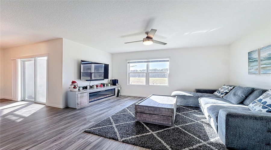 Living Room Area