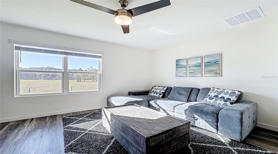 Living Room Area