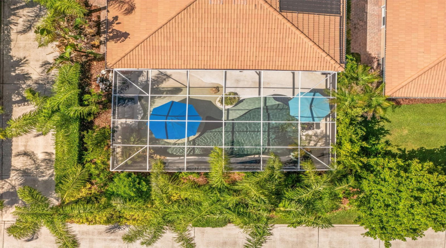 Orlando, Florida 32827, 3 Bedroom Bedrooms, ,2 Bathroombathrooms,Residential,For Sale,Zelkova,0,Mfro6413233