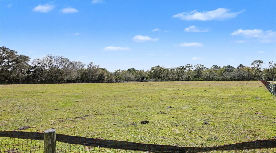 Front Pasture