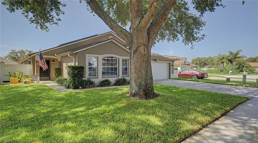 Lutz, Florida 33559, 3 Bedroom Bedrooms, ,2 Bathroombathrooms,Residential,For Sale,Mistwood,0,Mfrtb8528543