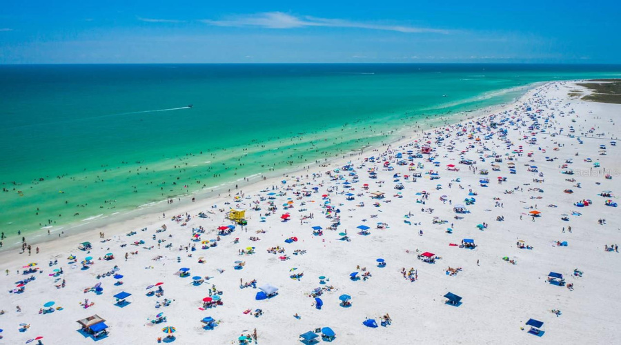 This Is The Gulf! Come Check It Out...