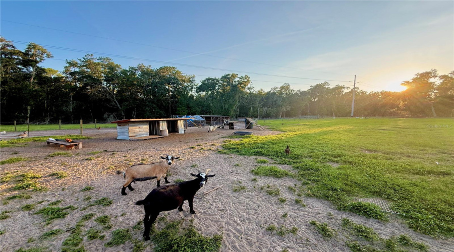 Brooksville, Florida 34601, 5 Bedroom Bedrooms, ,3 Bathroombathrooms,Residential,For Sale,Ladyhawk,0,Mfrtb8540624